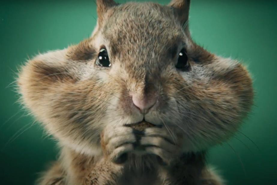 Skoda ad: a chipmunk with large cheeks full of nuts