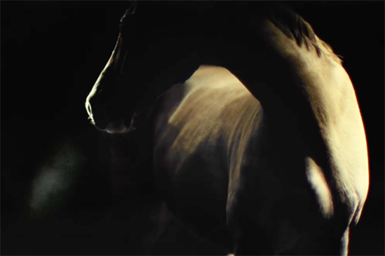 Sky Bet "The G.O.A.T." by Anomaly